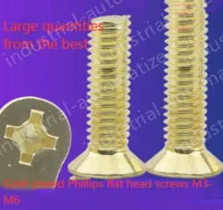 Golden Flat Head Screws M3*75