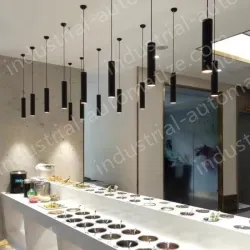 Aristocracy X30-20Magnetic chandelier light 12W