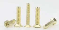 Golden Flat Head Screws M3*55