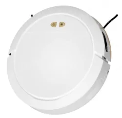 Sweeping robot ZNSDJQR-5