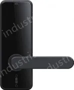 Smart door lock C89