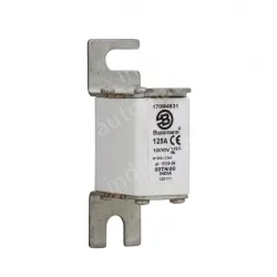 Eaton 170M4831 225A 600VAC