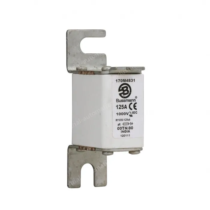 Eaton 170M4831 225A 600VAC
