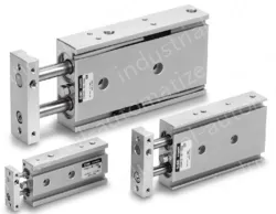 Dual Rod Cylinder CXS Series CXSM20-100